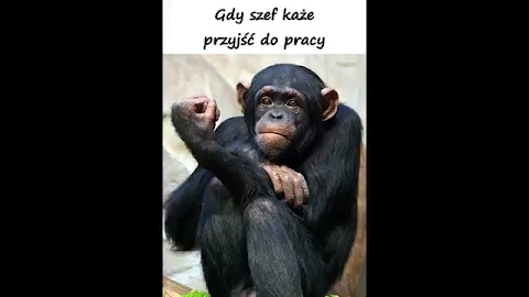 Poniedziałek 01 03 2021 S01E441