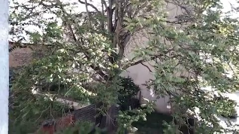 Dzedobry dzeni Przed walkq S01E1037