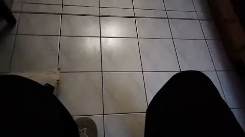 Pokarze wam co kupjlem tu S01E1369