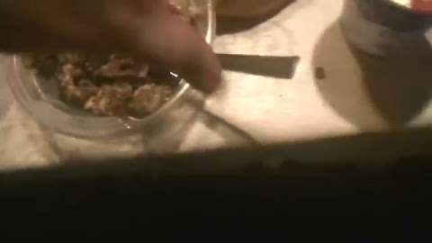 Powjem wam to grzbki jem na śniedanie pszne jest S01E647