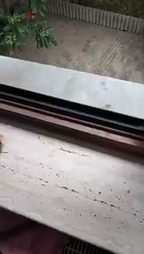 Powjem wam to wsuchaj S01E1503