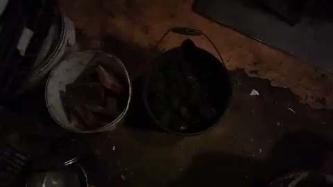 Pokarze przeniosłem wjaderki węgla i drzewa S01E1456