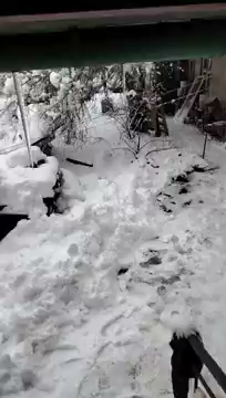 chcemy.wam.podzekowacz chciałem.sprawdzici swoje.zdrowie S01E02