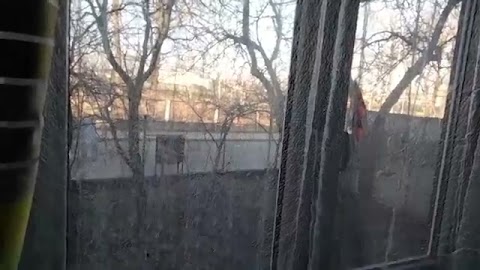 Taka pogoda jest tu unas S01E729