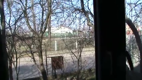 Śniedanie pszne zjem morze w spokoju S01E1139