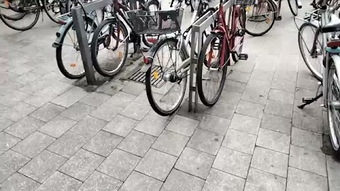 Pokazuje wam to S01E1191