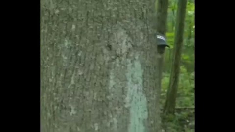 Najlepszy redaktor odleciał