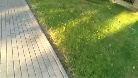 Jest Motylek S01E314