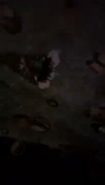 3 stycznia 2022 S01E67