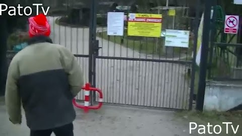 Jestem w zoo S01E172