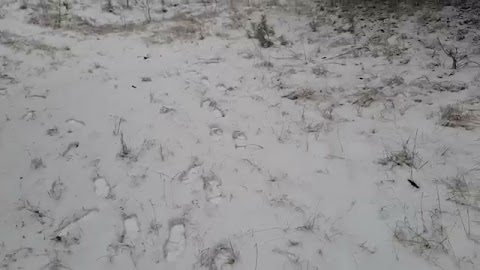 Mój początek na szkolnej S01E387