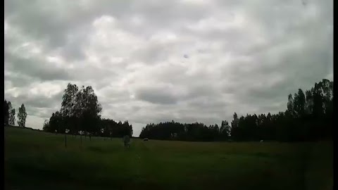 Postrach krów S01E206