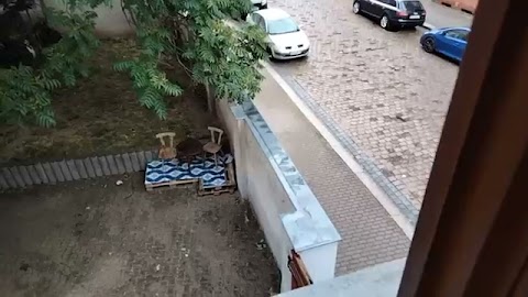 Krudkj wilm pogoda unas S01E1545