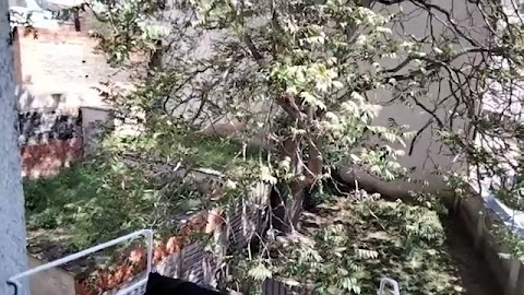 Pokarze wam ro S01E410