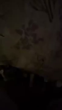 Powiem wam to S01E479