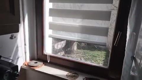 Dobra kjelbasa polska S01E153