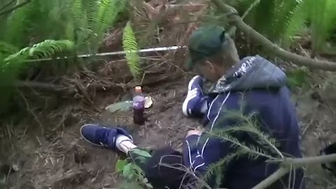 Pilnuję porządku S01E251