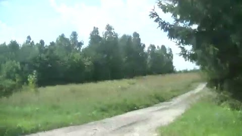 POKAZUJE WAM POWROTNQ DROGE S01E223