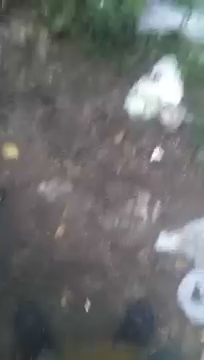 Oranżada w torebce cz. 3 S01E249