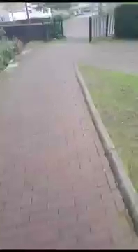 videoplayback S01E1931