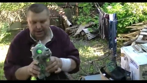 Najmądrzejsza istota, która mieszkała na szkolnej17