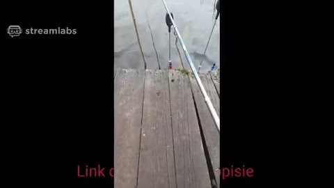 ryby 2021-05-30 12_25 S01E498