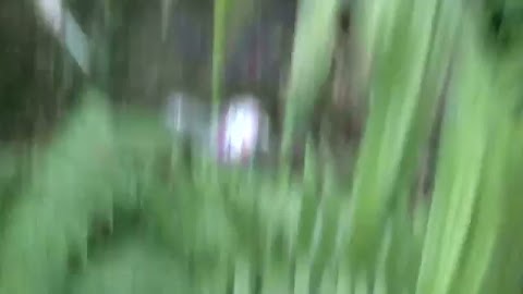 Trzeba myśleć trochę S01E201