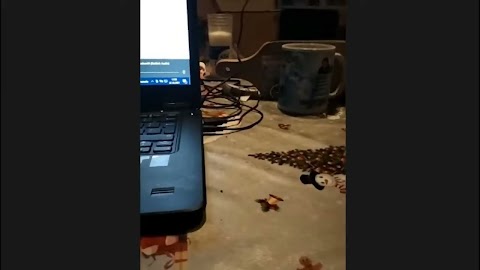 Domek drewniany nie do poznania