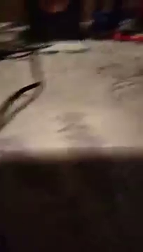 powiem wam nachama chcecie dowiedzieć sie S01E14