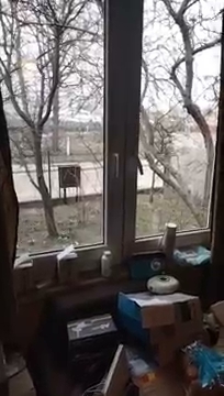 Właśnie wpowdzi wsuchajcie nasze wesołych siwiot S01E63