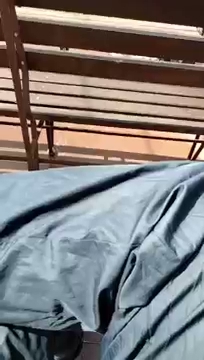 Pokarze wam widzą mojm S01E237