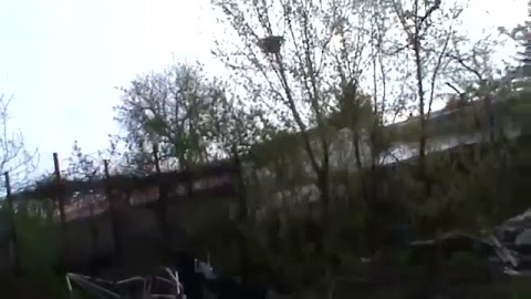 Pokazuje wam to S01E1342