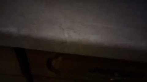 Wsuchajcie tego S01E1165