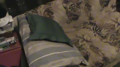 Nastempny wilm dlawas zobacz to S01E1453