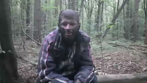 Rozpoznałem  leśnego malarza to... S01E334