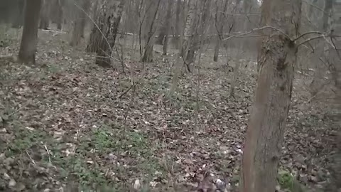 Hotel pod wiewiórkami S01E228