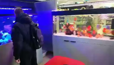 videoplayback (6) S01E1541