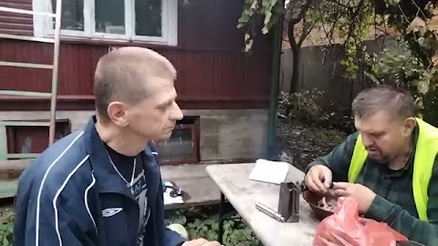 Dzedobry pogoda jest i zgoda buduje grzyby bedq smarzone S01E1315