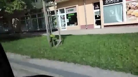 Jestesi my Olsznie lipa z Krzysztofem jechci S01E258