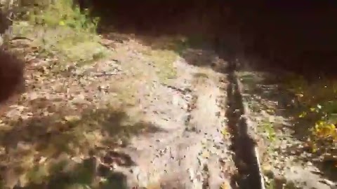 las 2021-10-03 12_26 S01E532