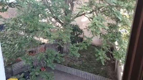 Dzisiaj mamy Niedzele S01E676