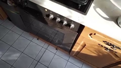 Przepraszam cie S01E170