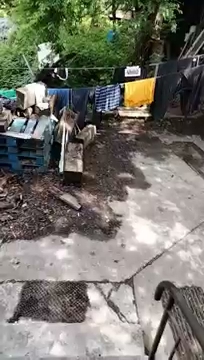 Widzicie pogoda jaka jest tu S01E471