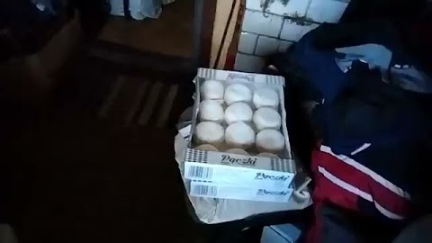 Dzekuje za poczki i za mleko S01E799