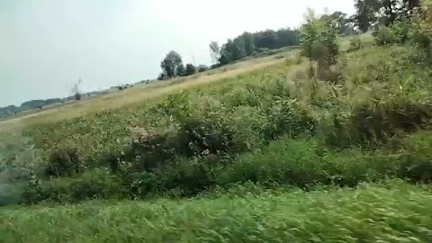 Pokazuje wam Fhercko S01E252