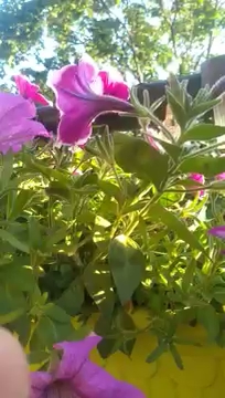 Kto odpowiedział na kawałek S01E281