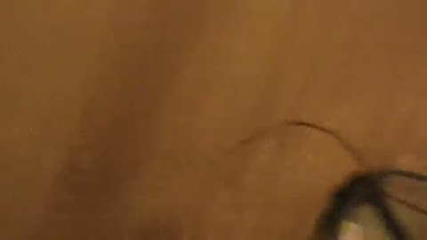 Na dzień dzisiejszy-MB5OBN9QTbc S01E164