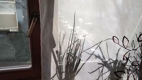 Pjotek ciepły unas jest S01E1455