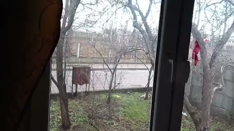 Powiem wam ro S01E382