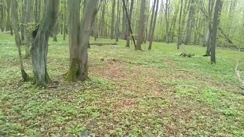 I znów to samo S01E227